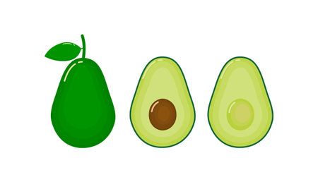 set fresh avocado isolated on white background of vector illustrations. Fresh cartoon.