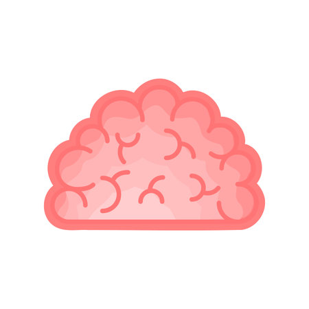 human brain anatomy icon. flat cartoon style. bright and cute. Isolated on white background. vector...