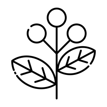 Coffee beans plant line icon.のイラスト素材
