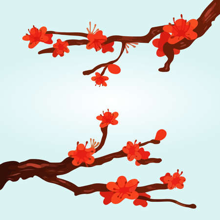Cherry Blossoming Background Sakura Flowers red on branch.のイラスト素材