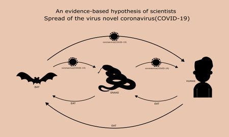 Shadow,an evidence-based hypothesis of scientists spread of the virus novel...