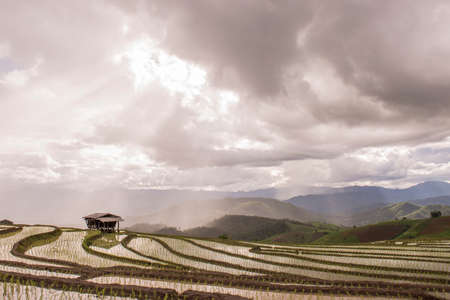 Field mountain sky backlight waterの写真素材