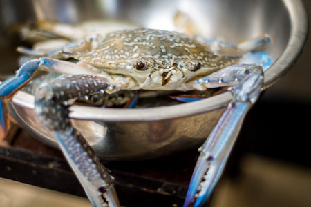 Fresh Blue crabs in a bowlの写真素材