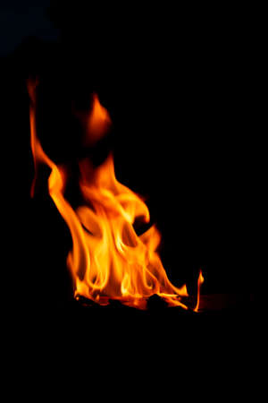 Flame Picturesの写真素材