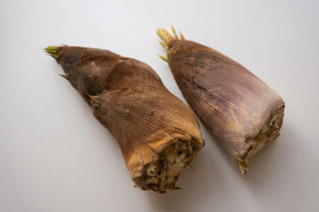 Bamboo Shoot Picturesの写真素材