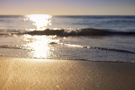 Sunset beach wave from sea come to beach with sun light reflect on water sea soft focus and focus selective to soft wave and sand. with copy space for text or design.の写真素材
