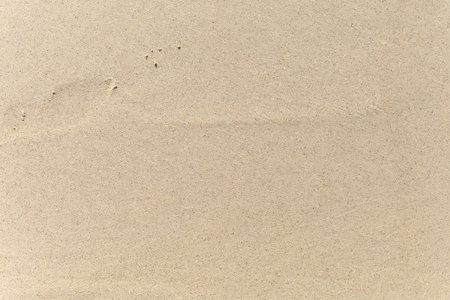 Sand on the beach background. For text or design.