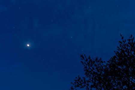 Half moon and stars on the sky night time background with copy space for text or design.