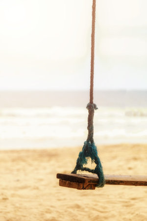 Summer concept. Wood swing hanging from coconut palm tree over beach sea. Asia Thailand. with copy...