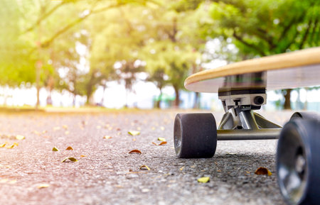 Close up skateboard on morning at park. Head of skateboard and wheel on road at public park. Sport concept.の写真素材