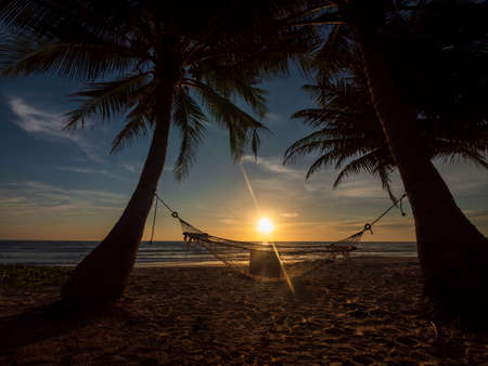 Phuket beach Thailand. Silhouette of hammock and palm trees on tropical beach at sunset. Hammock on a palm tree and sunset glare near sea ocean sky shore sand.の写真素材