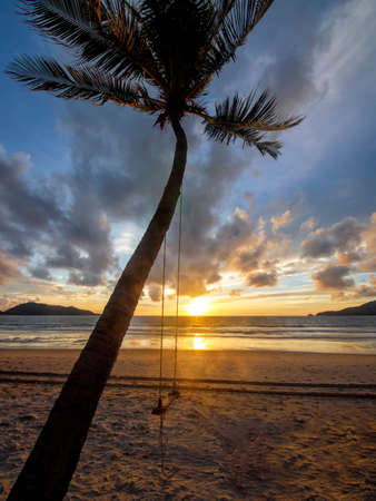 Coconut palm trees and tropical sea. Summer vacation and tropical beach concept. Coconut palm grows on white sand beach. Alone coconut palm tree in front of freedom beach Phuket, Thailand.の写真素材