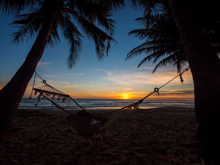 Phuket beach Thailand. Silhouette of young women relax sitting on hammock and palm trees on tropical beach at sunset. Hammock on a palm tree and sunset glare near sea ocean sky shore sand.の写真素材