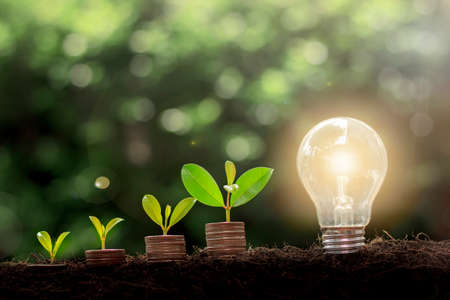 Plant growing on coins and light bulb. Energy saving light bulb and tree growing on stacks of coins with nature background. Finance money and energy saving conceptの写真素材