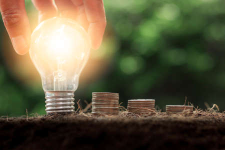 Hand holding light bulb with coins stack. Business success, saving money, money management for the future concept,の写真素材