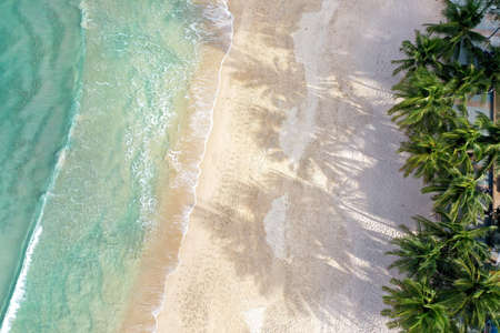Aerial view top view Beautiful topical beach with white sand coconut palm trees and sea. Top view empty and clean beach. Waves crashing empty beach from above. With copy space.の写真素材