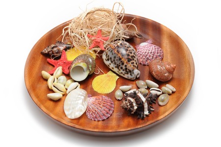 A beautiful alluvial of different seashells laying on wood dishの写真素材