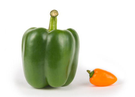 Big and Small Peppers of different colorsの写真素材