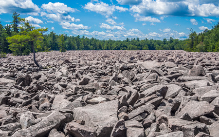 Boulder field in Hickory Run State Park, Pennsylvaniaの写真素材