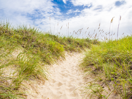Stock photo of sand dunes at the ocean costの写真素材
