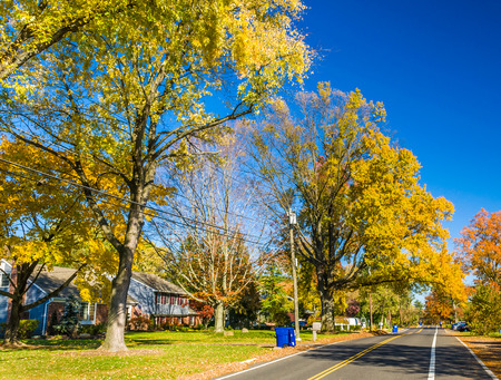 Colors of the fall at US North Eastの写真素材