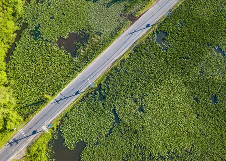 Aerial photo of small river covered with water plantsの写真素材