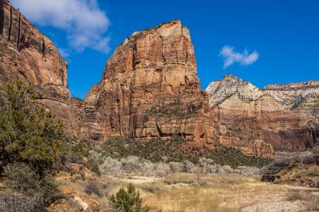 View of Zion Canyon from Angels Landgin trailの写真素材