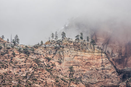 View of winter Zion Canyon from Angels Landgin trail