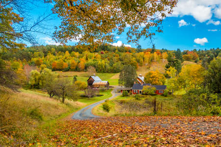 Fall Foliage colors in Vermont rural landscapeの写真素材