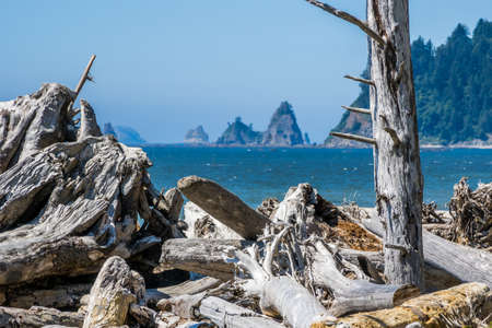 Sunny day at Rialto Beach in Washingtonの写真素材