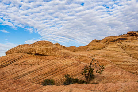 Geological formations at Yant Flats area in St. George Utah regionの写真素材