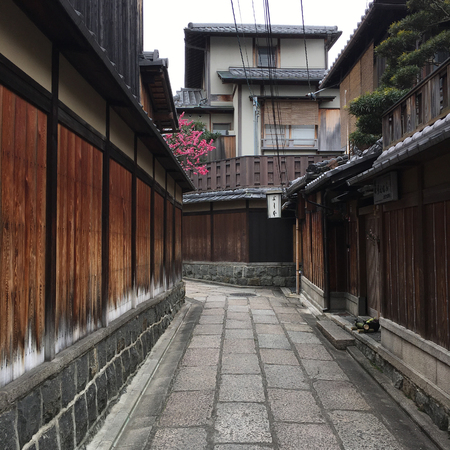 Japanese traditional houses, interesting pink flowersのeditorial素材