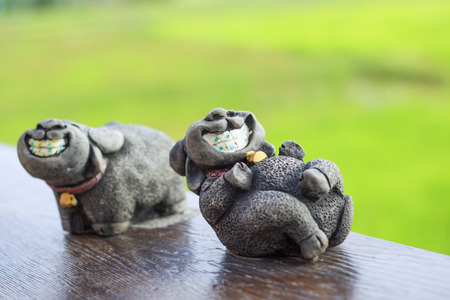 A cheerful buffalo sitting in a refreshing field.の写真素材