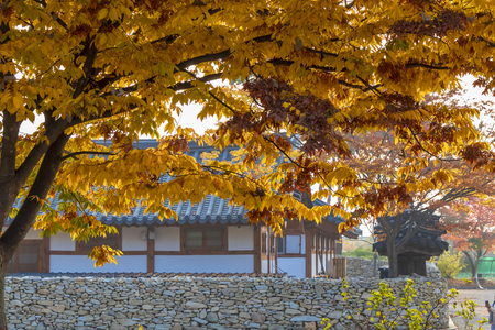 Autumn landscape beautiful colored trees over the river, glowing in sunlight.のeditorial素材