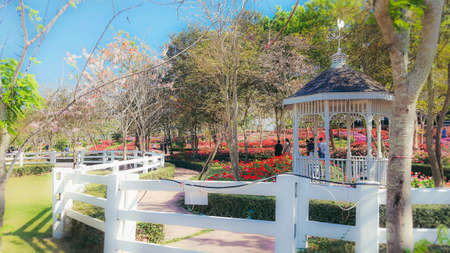 Flora Park Thailandの素材