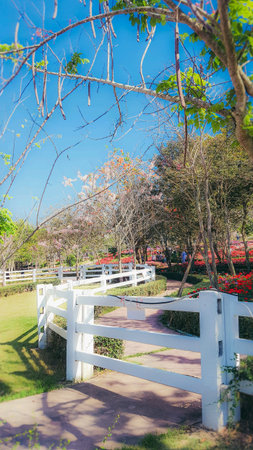 Flora Park Thailandの素材