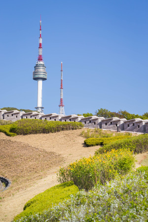Namsan Park and N Seoul Tower flower in the foreground out of focusのeditorial素材
