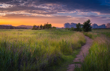 Beautiful landscape in South Korea,Sorae ecology wetland park