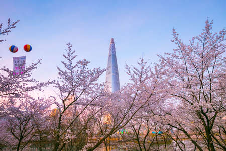 Seoul, South Korea - April 07, 2019:Seokchon lake park  and cherry blossom tree and Lotte world tower in spring. seoul, south korea.のeditorial素材