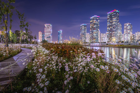 White flowers and beautiful night view at Songdo Central Park in Songdo  District, Incheon South Korea.の写真素材