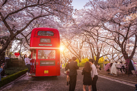 Daegu, South Korea - March 28, 2021: Tourists taking photos of spring cherry blossoms at E-World 83 Tower, a popular tourist attraction, in Daegu, South Korea.のeditorial素材