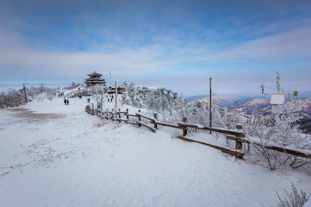 Korea Winter atop Deogyusan Mountain at Deogyusan National Park near Muju, South Korea.の写真素材