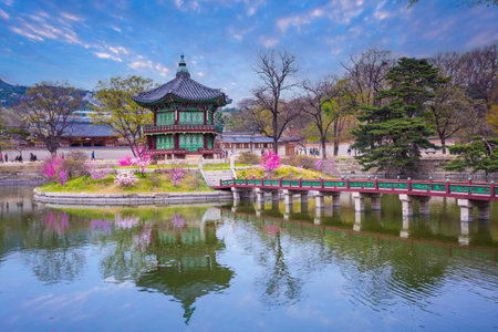 Gyeongbokgung palace with cherry blossom tree in spring time in Seoul, South Korea.の写真素材