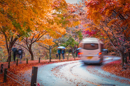 Autumn in Korea, Colorful autumn with beautiful maple leaf at Naejangsan national park, South Korea.の写真素材