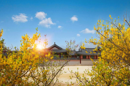 Gyeongbokgung Palace in autumn, South Korea.の写真素材