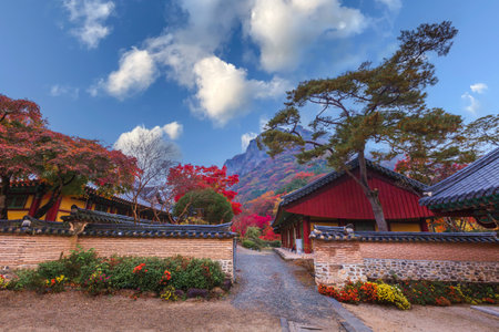 Colorful autumn with beautiful maple leaf in sunset at Baekyangsa temple in Naejangsan national park, South Korea.の写真素材