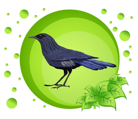 Vector illustration of a bird on colorful background のイラスト素材