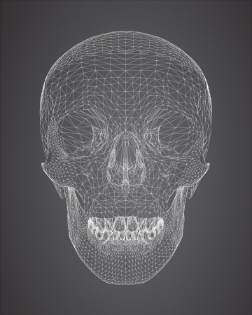 3d skull wireframe のイラスト素材