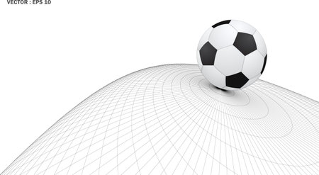 soccer ball on abstract wireframe background, vector のイラスト素材