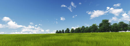 Panoramic Green Grass with cloud and the blue sky  3d render の写真素材